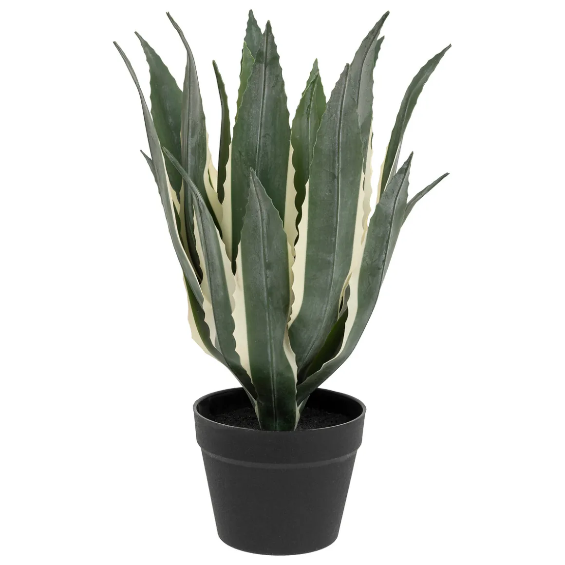 Agave artificiel