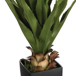 Agave artificielle