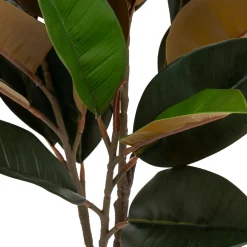 Agnolia artificielle