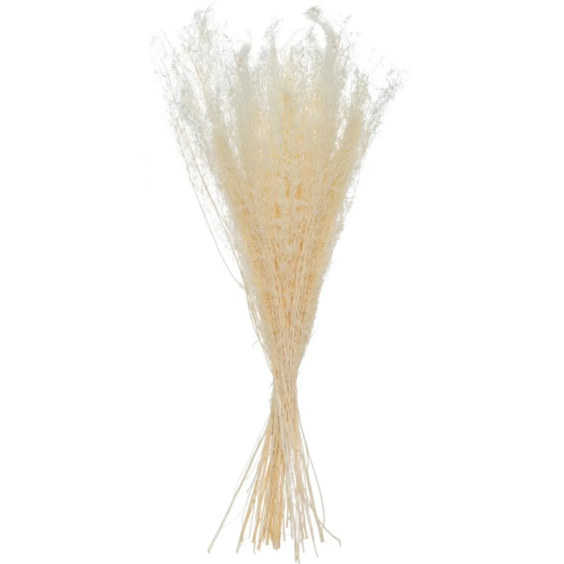 Bouquet de plantes séchées