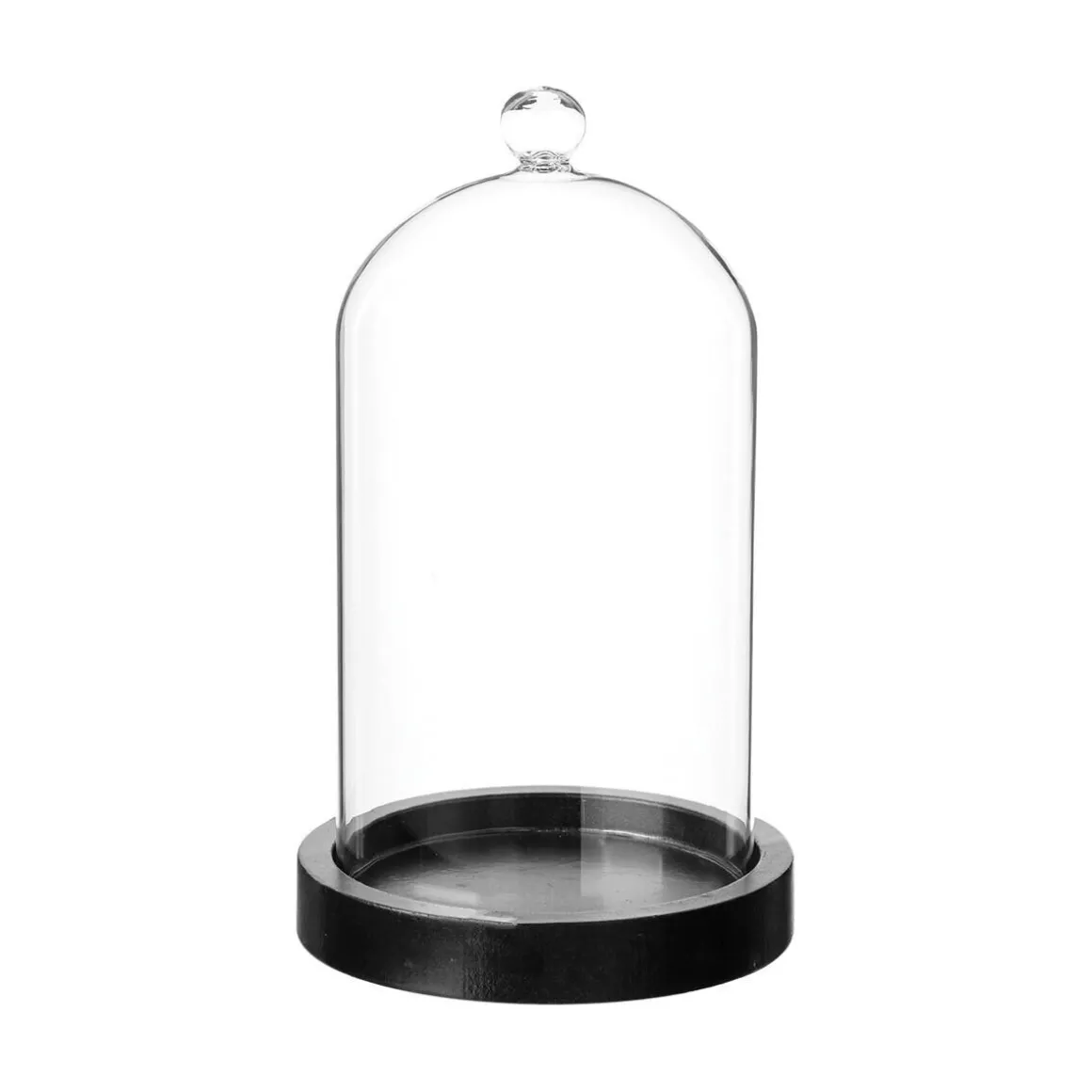 Cloche verre et bois