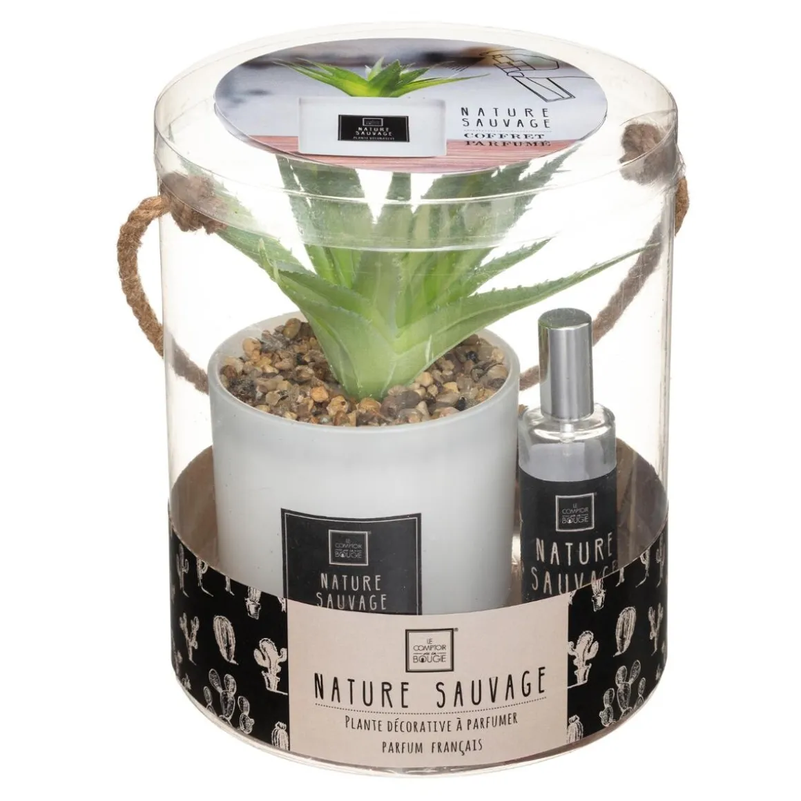 Coffret senteur "Cactus"
