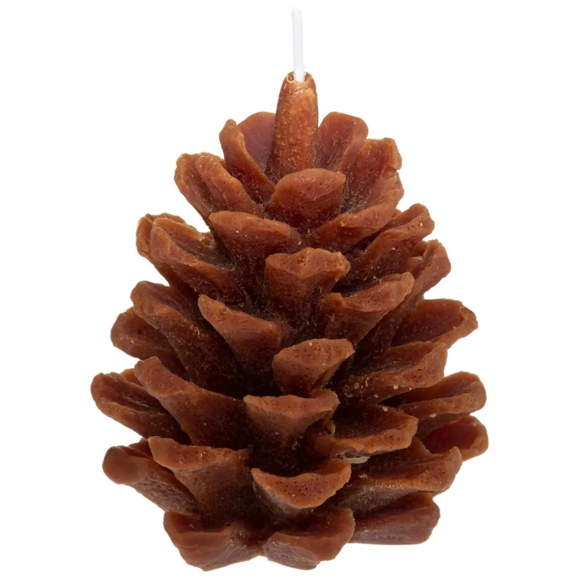 Coffret senteur "Wild"