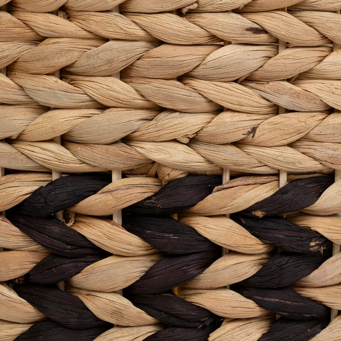 Lot de 3 paniers "Olive"