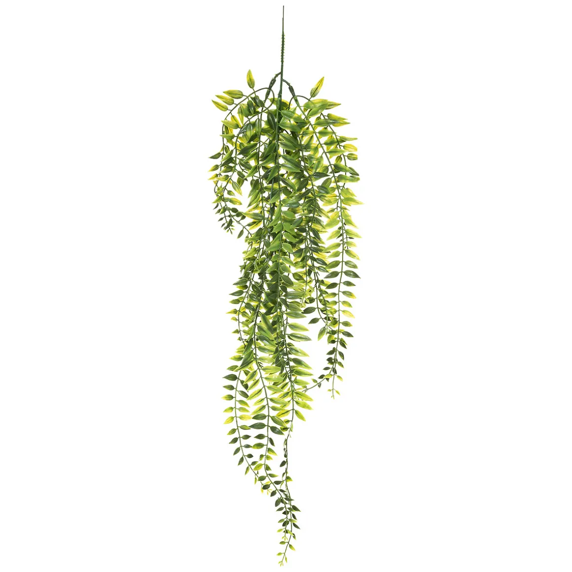 Plante artificielle tombante