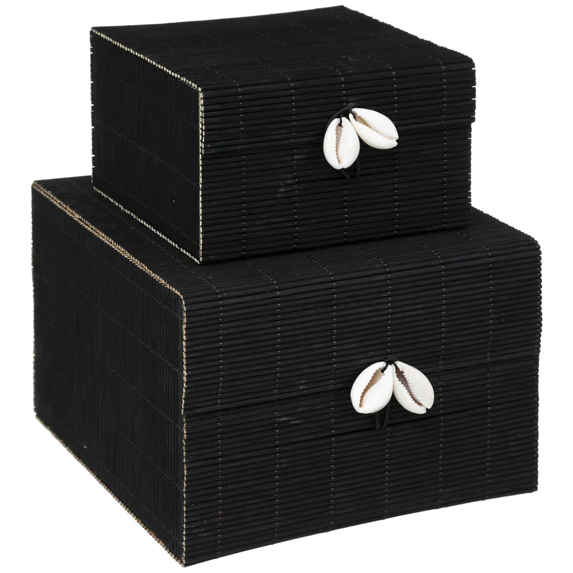 Set de 2 boites "Tropiques"