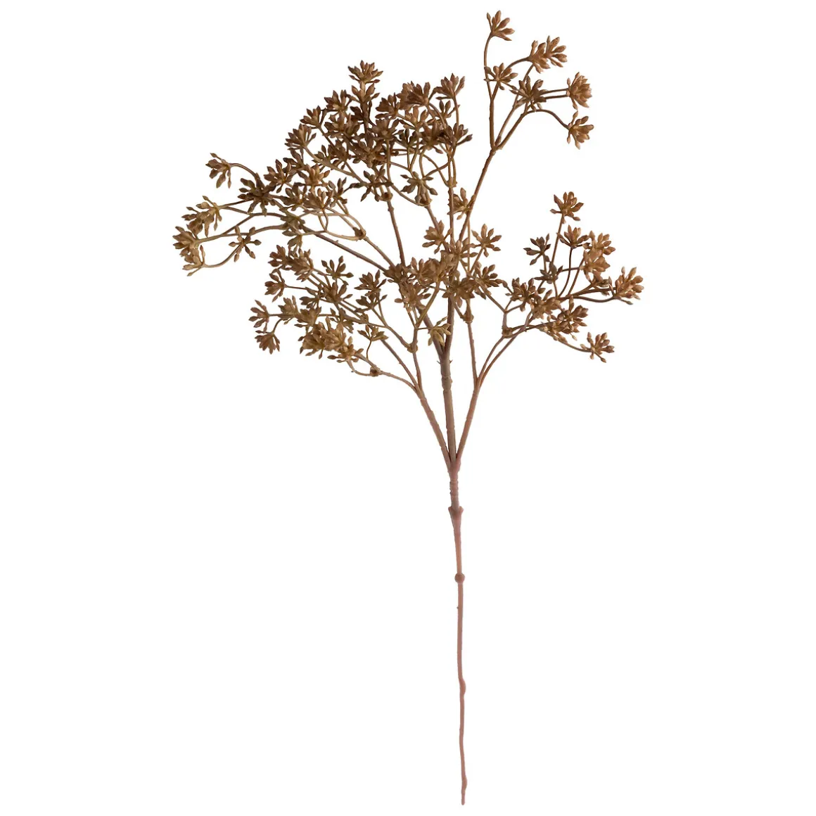 Tige achillée artificielle "James"