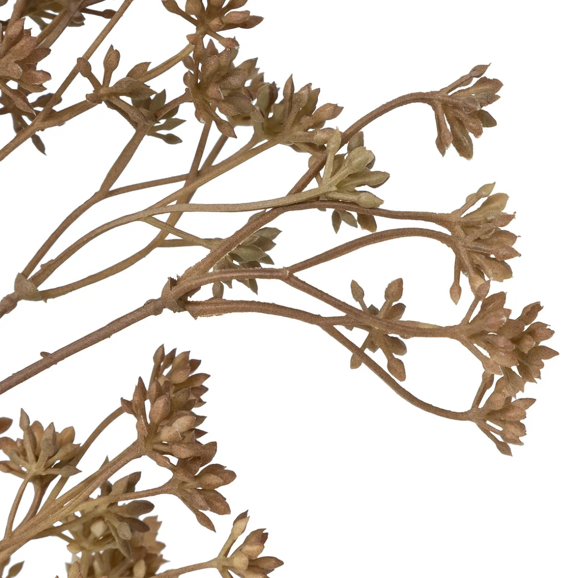 Tige achillée artificielle "James"