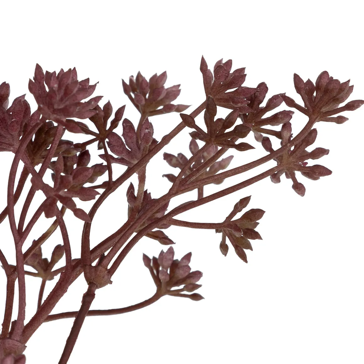 Tige achillée artificielle "James"