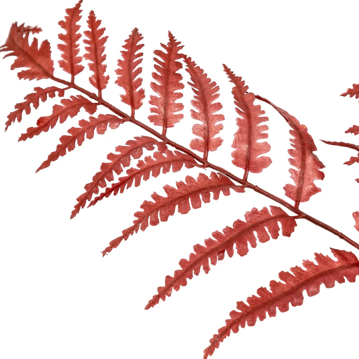 Tige d'eucalyptus artificielle "James"