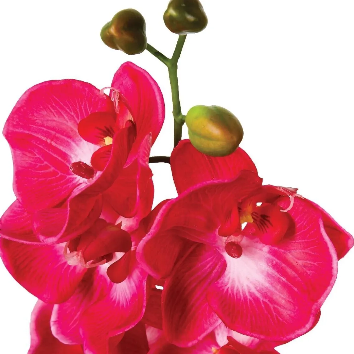 Tige d'orchidée artificielle