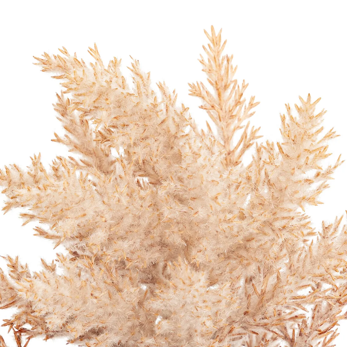 Tige gelée artificielle "James"