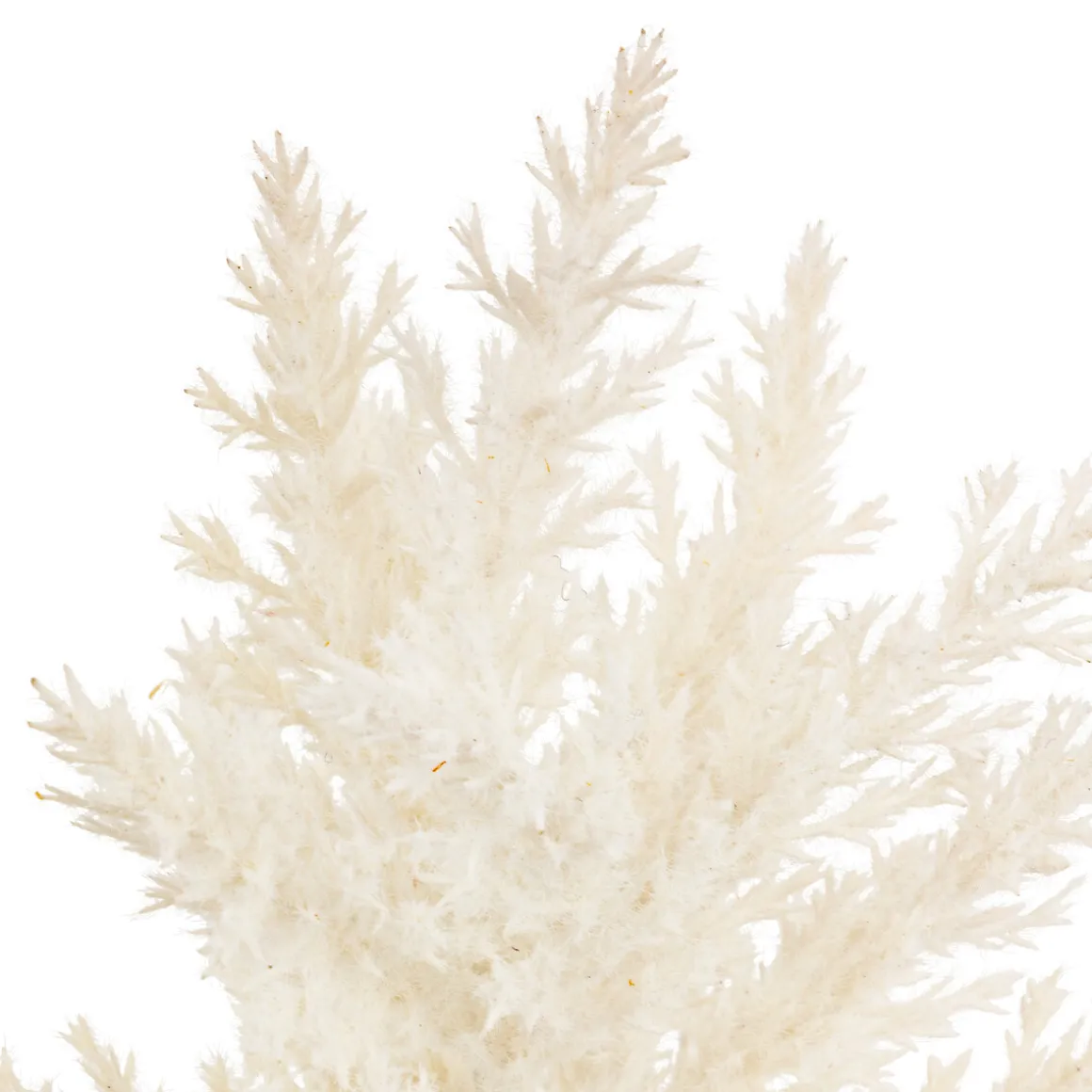 Tige gelée artificielle "James"